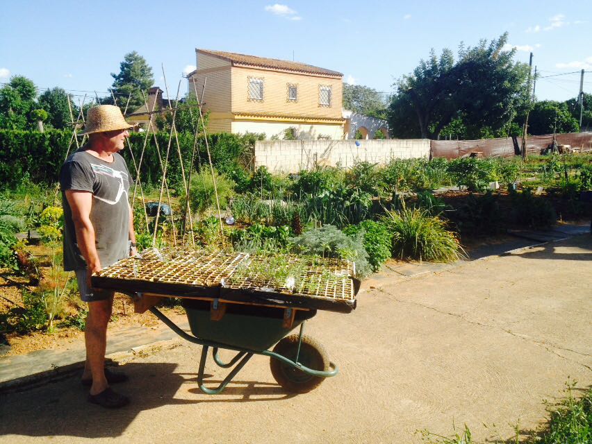 humana_3c_soluciones-agricultura-urbana_13-1