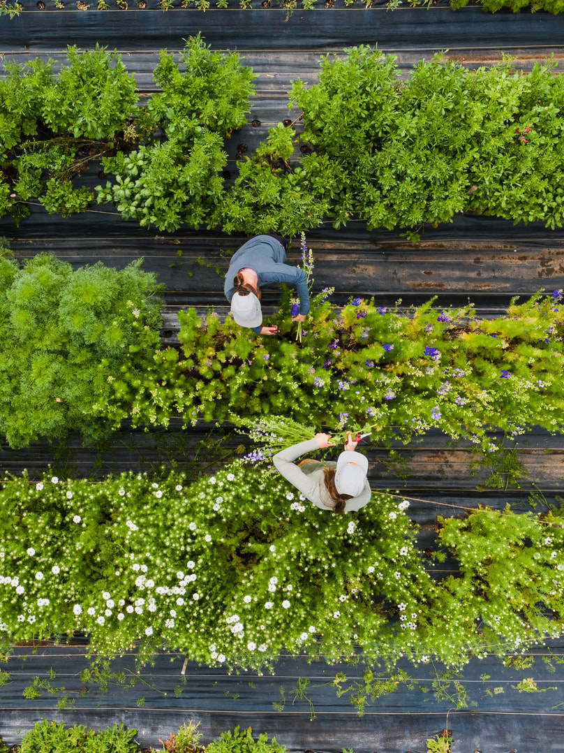 pexels-kelly-lacy-8148239_edit-2