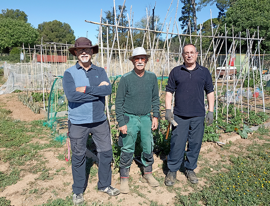 Tres usuarios en el huerto urbano de Reus (Tarragona), antiguos activistas del huerto 3C de Humana.